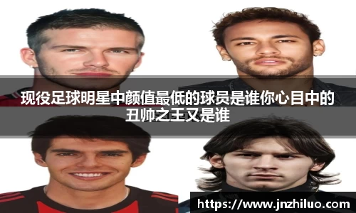 新利体育